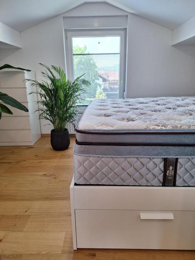Guesthouse Flower Ljubljana Bagian luar foto